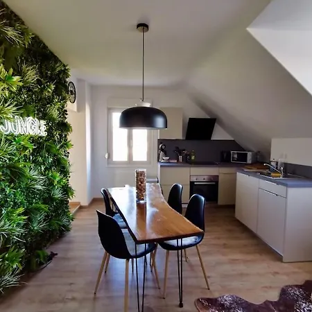 Apartament Evasion Jungle - Wifi & Netflix ! Miluza