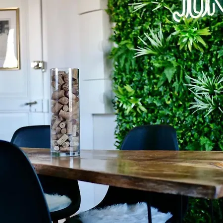 Evasion Jungle - Wifi & Netflix !