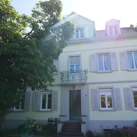 Evasion Jungle - Wifi & Netflix ! * Miluza