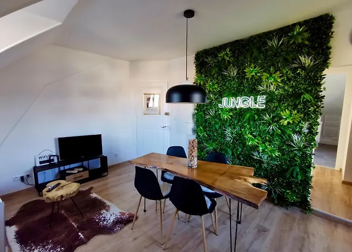 Evasion Jungle - Wifi & Netflix ! * مُلووز